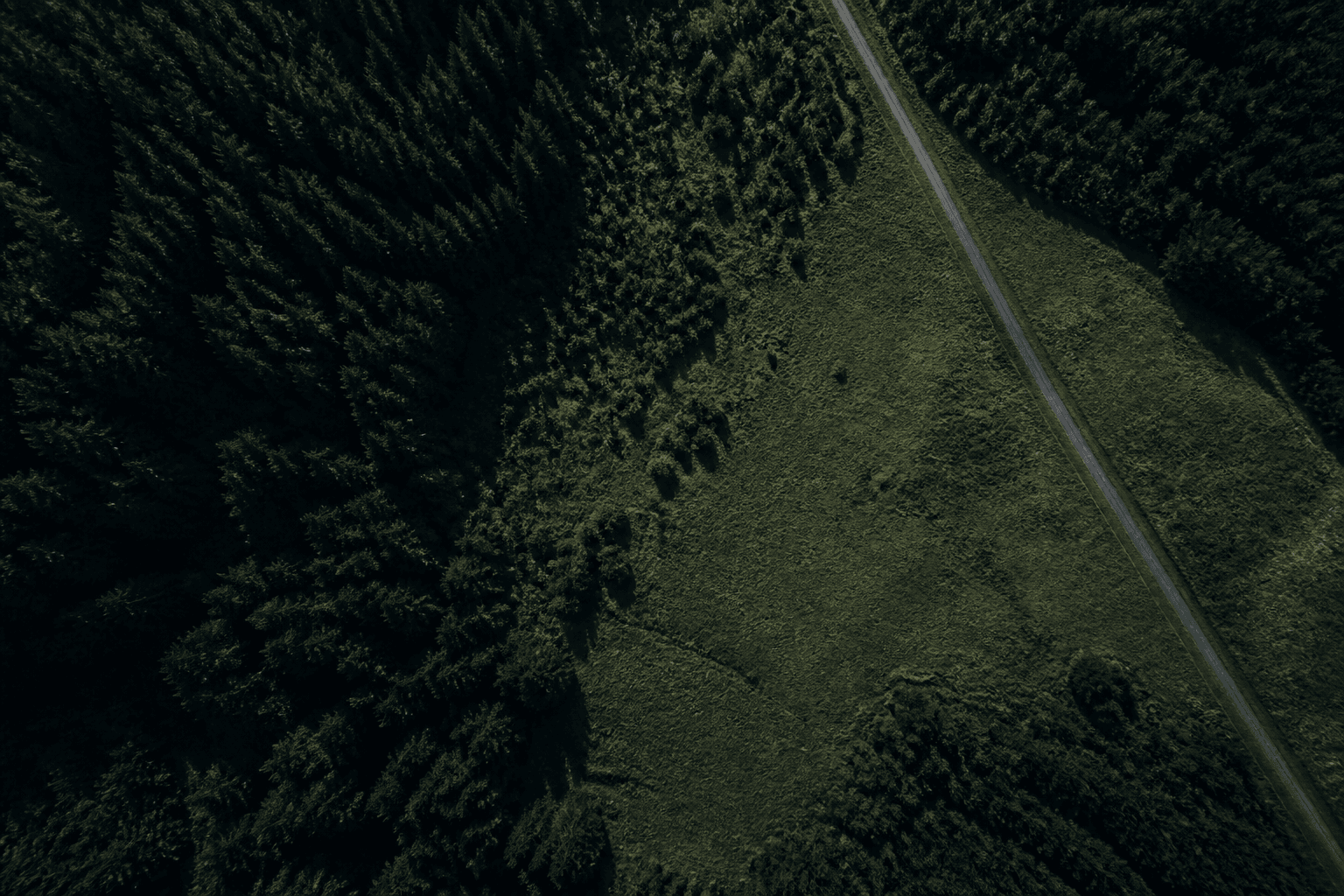 Aerial view of wooded acreage and a narrow access road