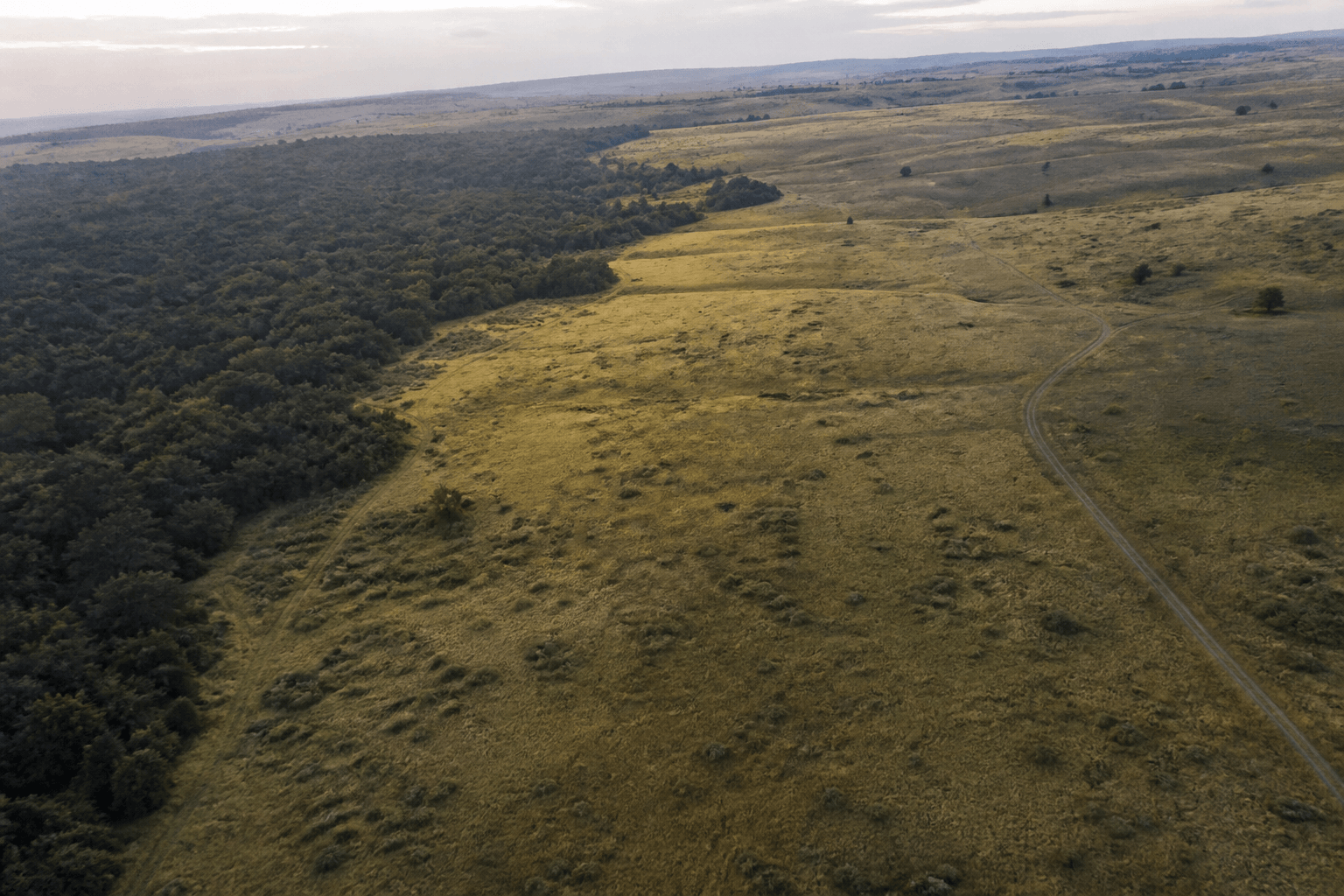 Aerial terrain with open land and tree lines